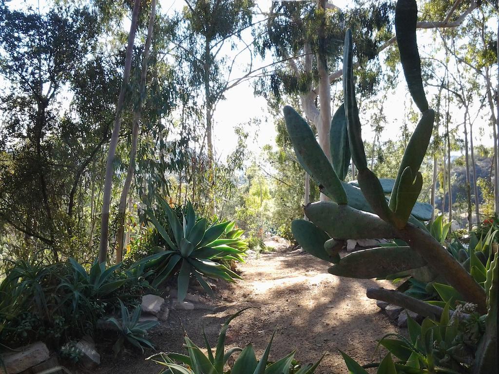 Rainbow Guest House Fallbrook Exterior foto